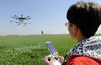 Drone team members spray pesticide in north China's Hebei