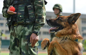 Police dogs trained at training base in SW China