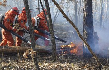 Cross-border forest fire extinguished