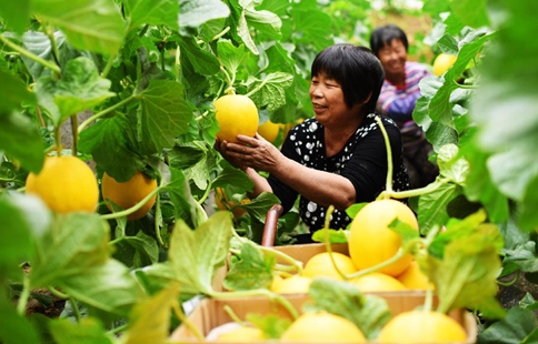 Farmers work in farmlands at beginning of summer around China