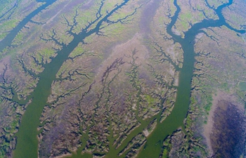 Aerial view of intertidal zone in E China's Jiangsu