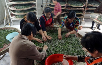Silk production made in Huzhou silk factory