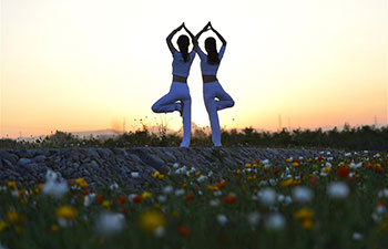Yoga fans practise yoga on flower farmland in N China's Hebei