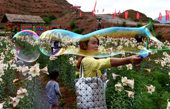 Lily garden attracts visitors in Jiangxi Province, E China
