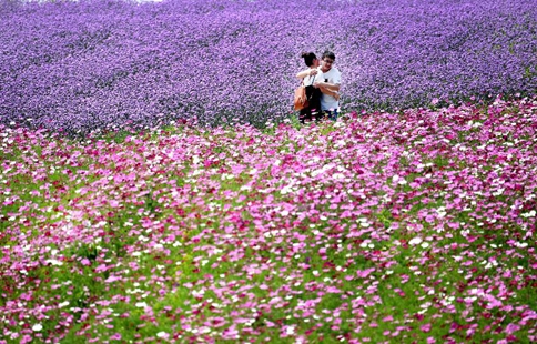 Tourists have fun in flowers at parks in east China