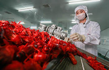 Annual output value of crayfish surpasses 1.47 billion USD in China