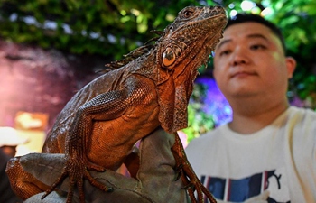 Lizard exhibition held in northeast China's Harbin
