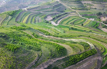 In pics: terraces in NW China