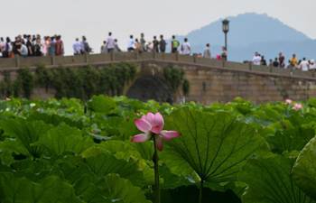 People enjoy scenery of lotus flowers in Hangzhou