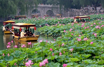 Lotus flowers blossom across China