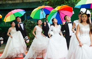 227 pairs of newlyweds attend group wedding ceremony in S China