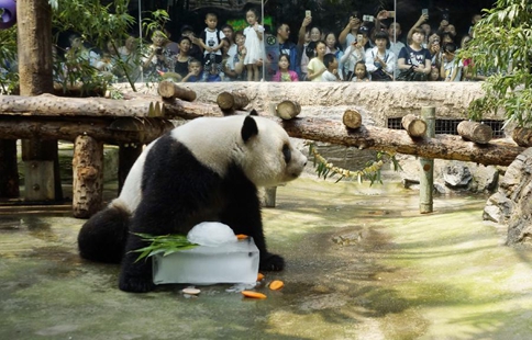Special treat to cool off animals at Beijing Zoo