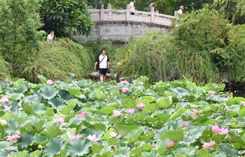 People enjoy lotus flowers at Xihu Park in China's Fujian
