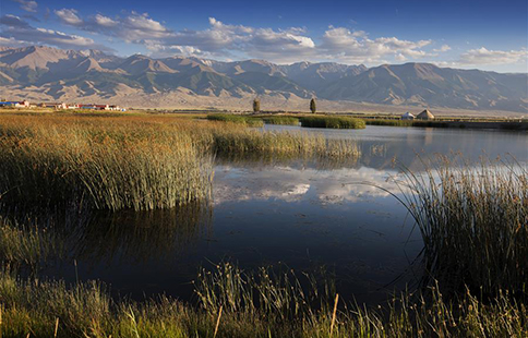 Beautiful scenery of Gaojiahu wetland park in NW China's Xinjiang
