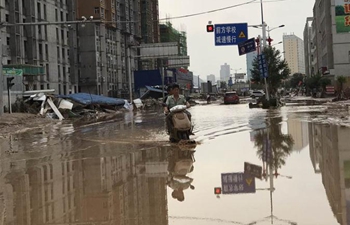 Torrential rain causes infrastructure damage in NW China's Shaanxi