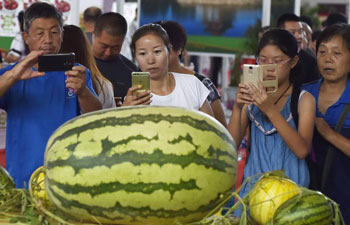 10th Int'l Agricultural Expo held in northeast China's Liaoning