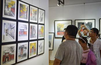 Beijing Literature and Art Exhibition attracts visitors