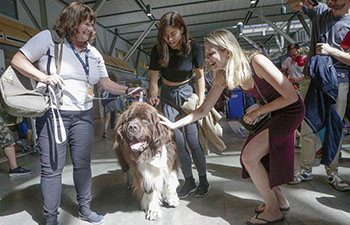 Therapy dogs help relief anxiety and stress at Vancouver Int'l Airport