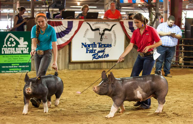 In pics: North Texas Fair and Rodeo in U.S.