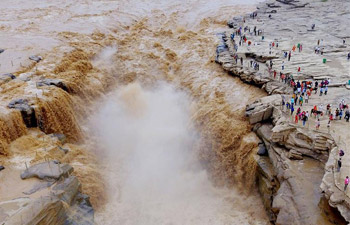 Water volume of Hukou Waterfall surges due to heavy rainfall