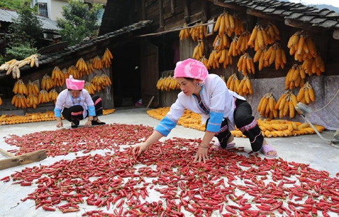 Villagers air harvests in south China