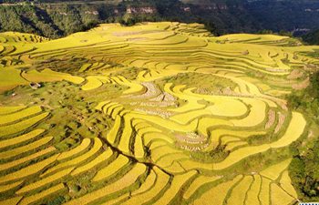 In pics: paddy fields across China