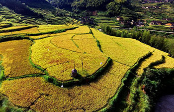 Scenery of terraced fields in Houyuan Village, China's Fujian