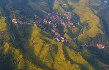 Aerial view of Longji Terraces in south China's Guangxi