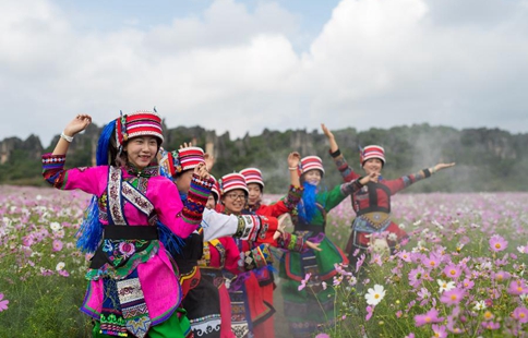 Cosmos flowers enter blossom season at Shilin in China's Yunnan