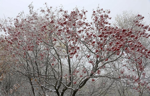 Snowscape of Labagou Forest Scenic Resort in Huairou District of Beijing