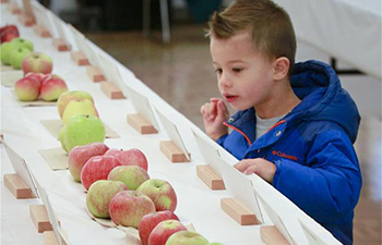 26th Apple Festival held in Vancouver, Canada