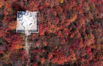 Autumn red: Scenery of red leaves in Jiguan Mountain