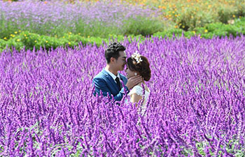 Couples pose for wedding photos at "love town" in SW China