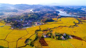 Autumn scenery in east China's Anhui