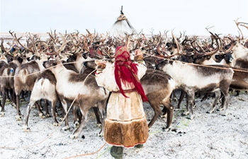 In pics: daily life of Nenets in northern arctic Russia