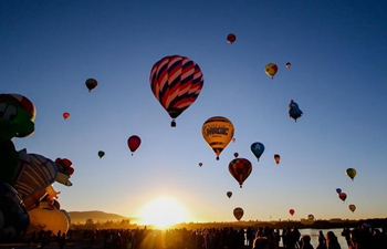 2017 International Balloon Festival celebrated in Mexico