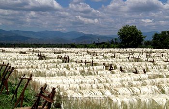 China-invested sisal farm creates 10,000 jobs for Tanzania