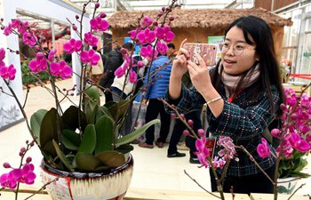 5th Orchid Exhibition of China kicks off in Fujian