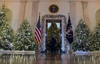 Media preview of 2017 Christmas holiday decorations held at White House