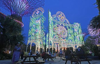 Christmas light installations tested in Singapore Gardens by the Bay