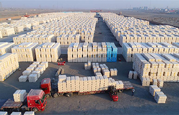 Ginned cotton transportation starts in NW China's Xinjiang