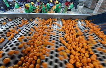 Tangerine industry helps locals in Jiangxi to get rid of poverty