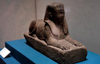 Exhibition on antiques of ancient Egypt held in China's Henan
