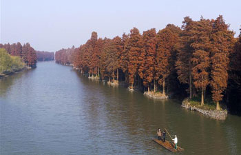 Scenery of artificial water forest in east China's Jiangsu