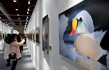 White Swan Wildlife Int'l Photography Exhibition held in C China