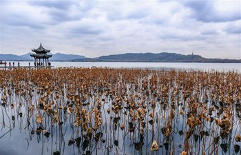 Winter scenery of West Lake scenic spot in Hangzhou, E China's Zhejiang