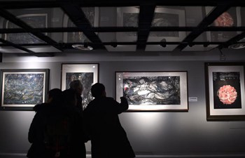 Art exhibition held in Beijing to mark Nanjing Massacre anniversary