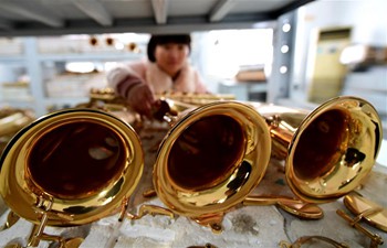 In pics: Instrument making company in Hebei
