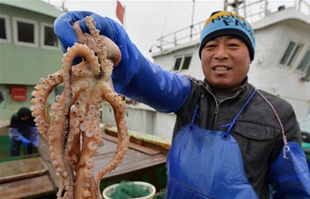 In pics: Winter fishing in China's Shandong