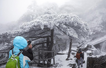 Huangshan Mountain sees this winter's first snowfall